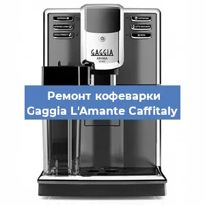 Чистка кофемашины Gaggia L'Amante Caffitaly от накипи в Новосибирске